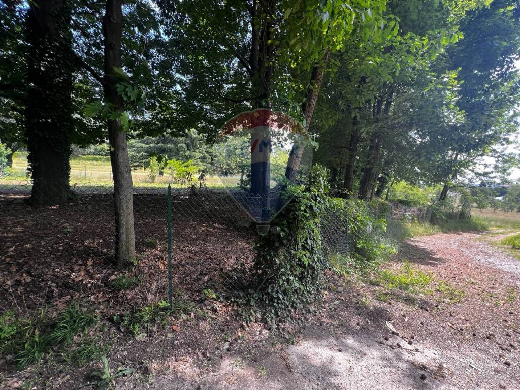 immagine annuncio 6 di 14