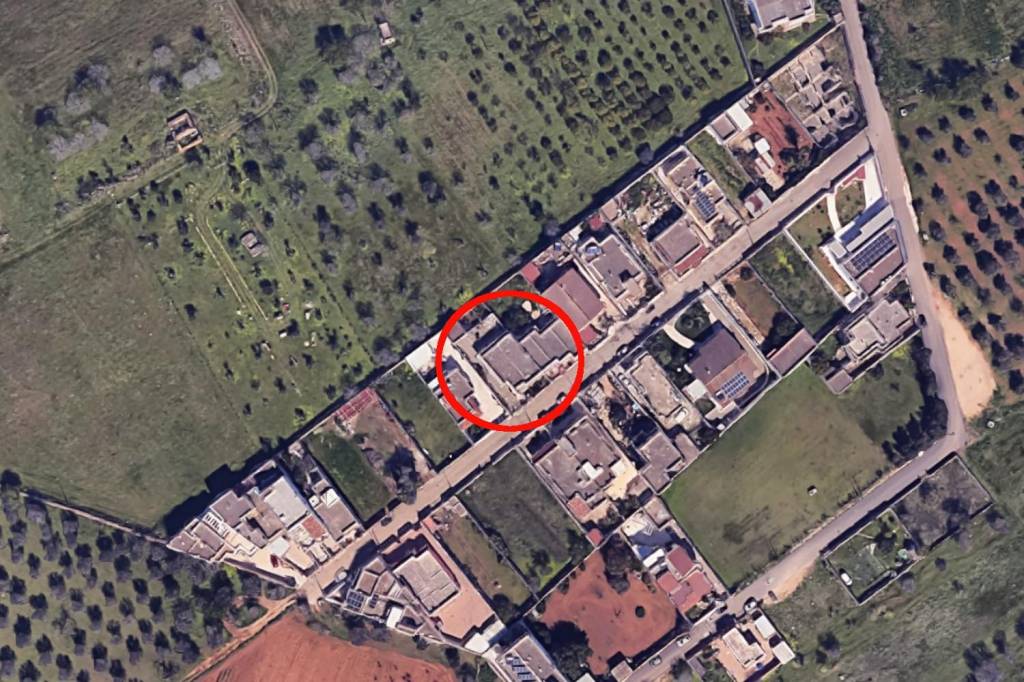 immagine annuncio 10 di 14