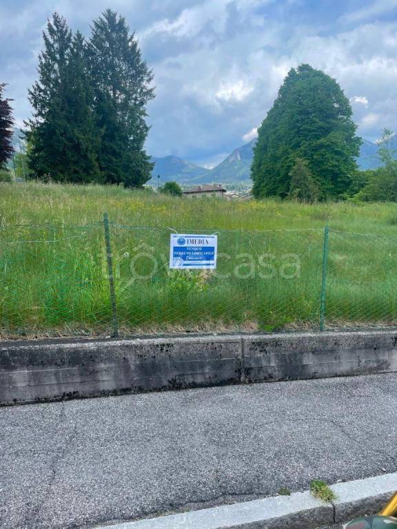 immagine annuncio 3 di 6
