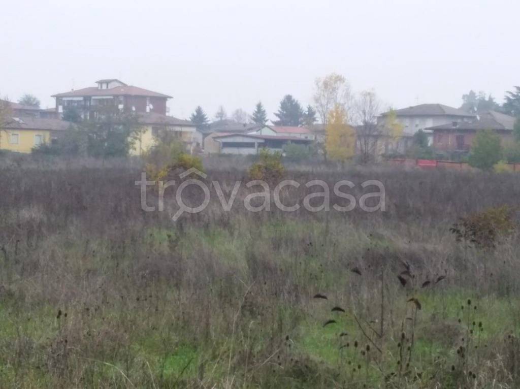 immagine annuncio 6 di 10