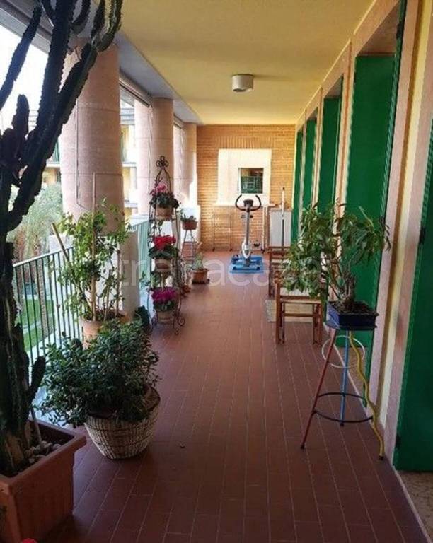 immagine annuncio 4 di 13