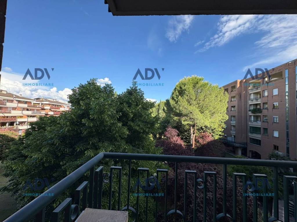 immagine annuncio 5 di 14