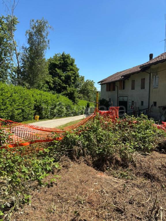 immagine annuncio 9 di 14