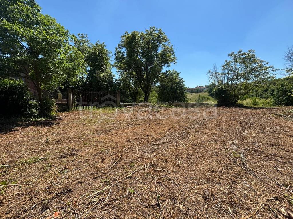 immagine annuncio 2 di 14