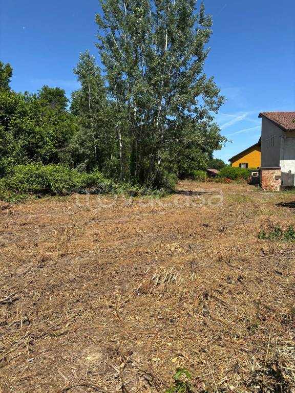 immagine annuncio 3 di 14