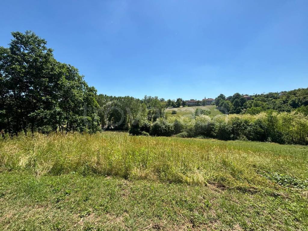 immagine annuncio 13 di 14