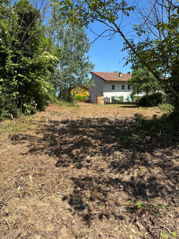 immagine annuncio 6 di 14