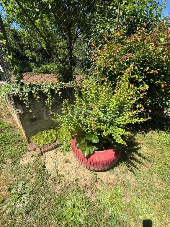 immagine annuncio 10 di 14