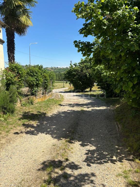 immagine annuncio 11 di 14