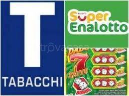 immagine annuncio 5 di 14