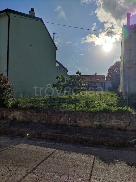 immagine annuncio 2 di 4