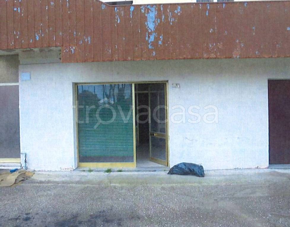 immagine annuncio 4 di 12