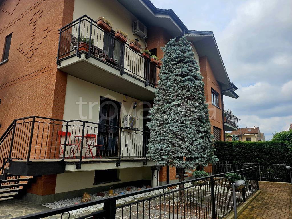 immagine annuncio 3 di 15