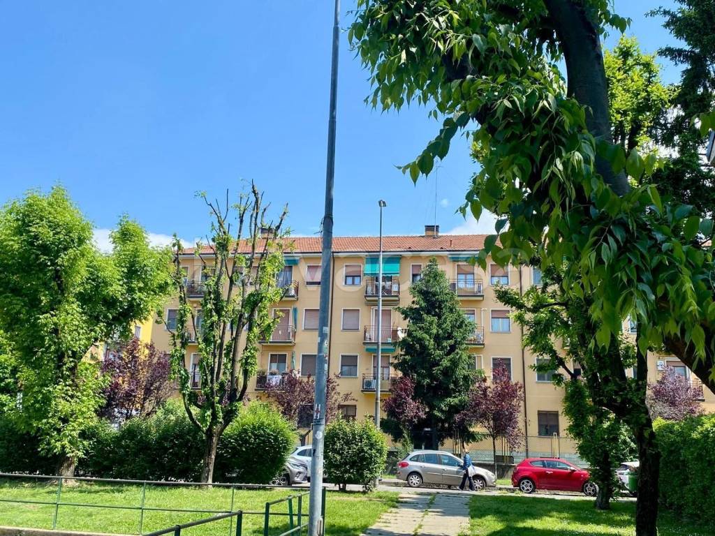 immagine annuncio 13 di 14