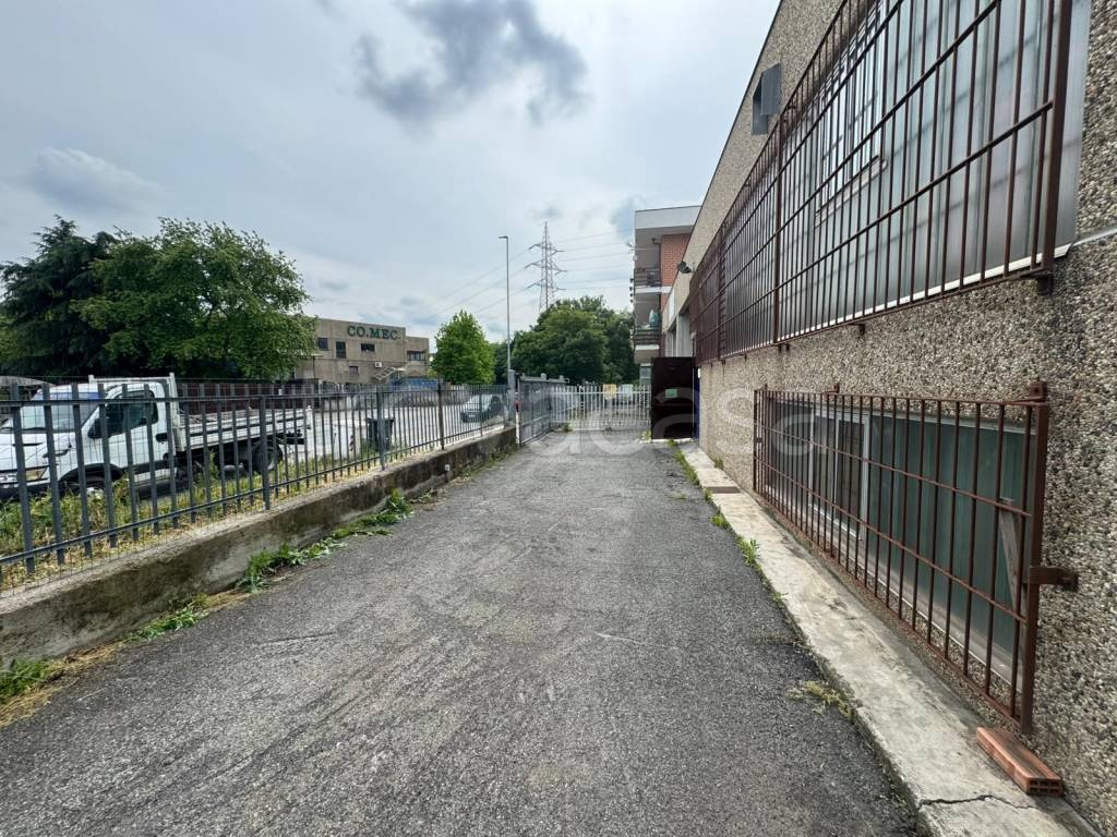 immagine annuncio 2 di 12