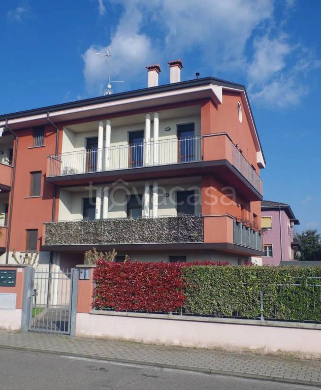 immagine annuncio 1 di 12