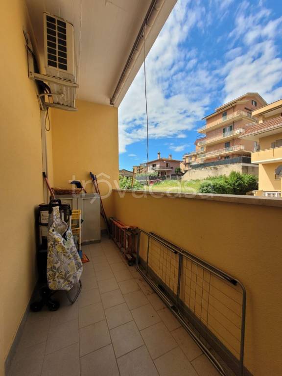 immagine annuncio 10 di 14