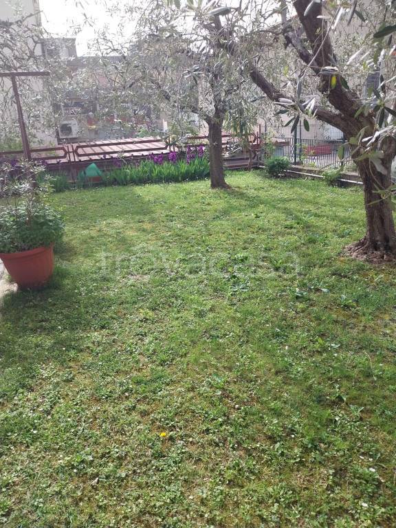 immagine annuncio 6 di 11