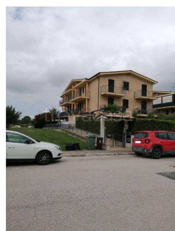immagine annuncio 7 di 11