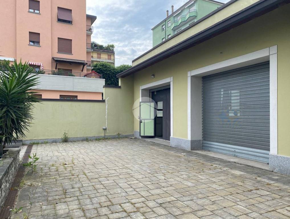 immagine annuncio 3 di 15