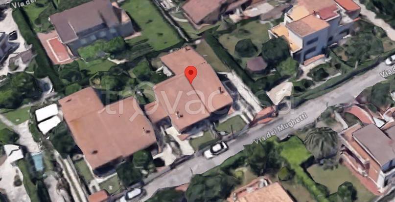 immagine annuncio 1 di 3