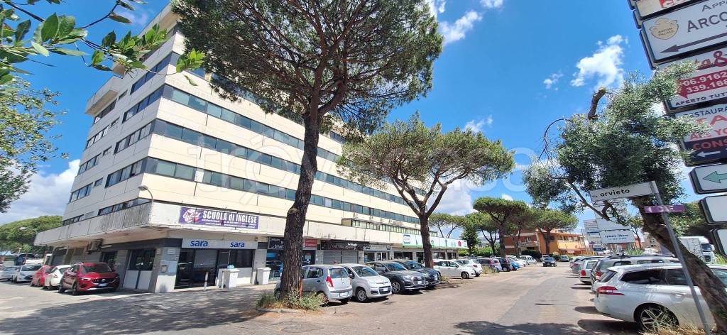 immagine annuncio 11 di 12
