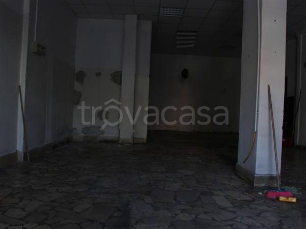 immagine annuncio 3 di 6