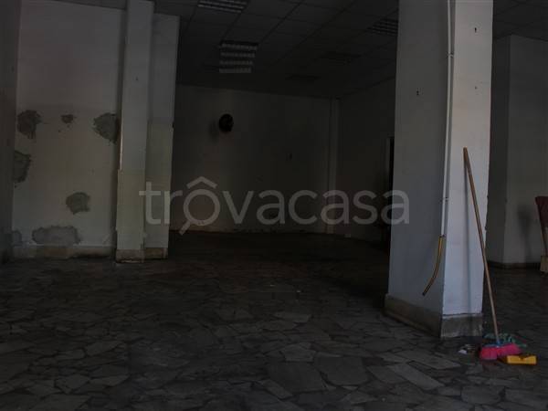 immagine annuncio 5 di 6