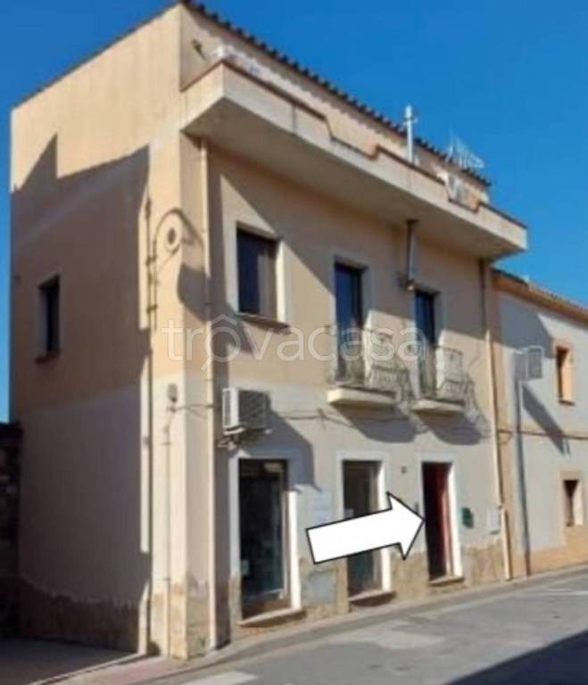immagine annuncio 11 di 14