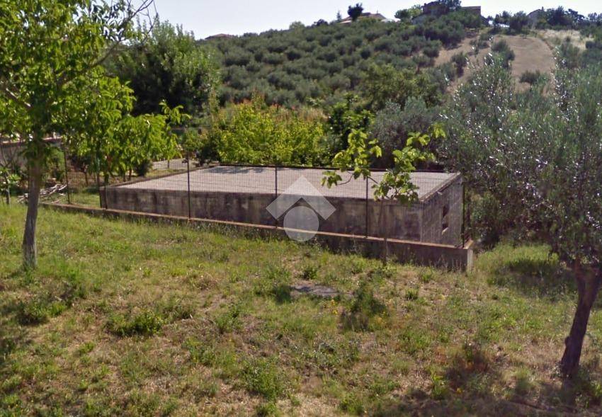 immagine annuncio 3 di 6