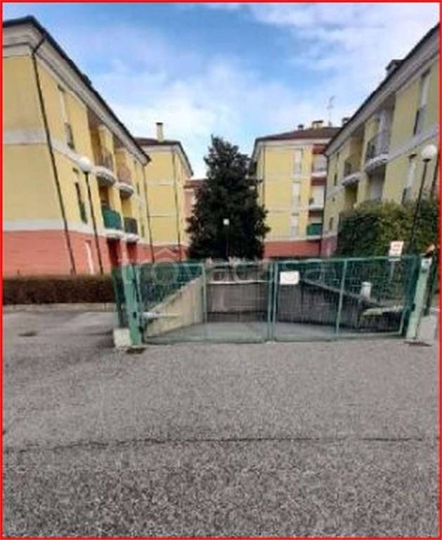 immagine annuncio 8 di 15