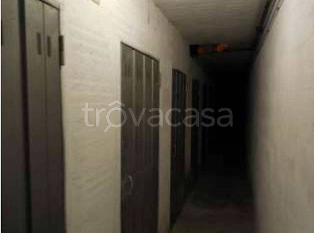 immagine annuncio 11 di 14