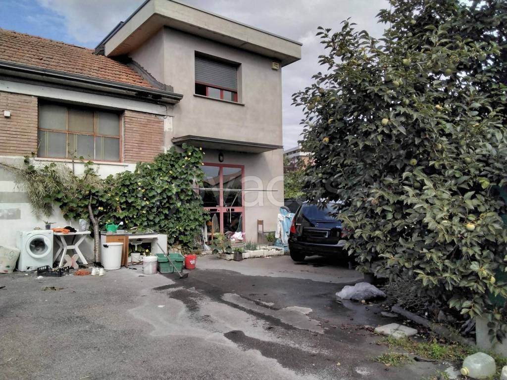 immagine annuncio 2 di 15