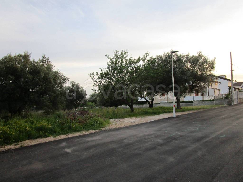 immagine annuncio 2 di 6