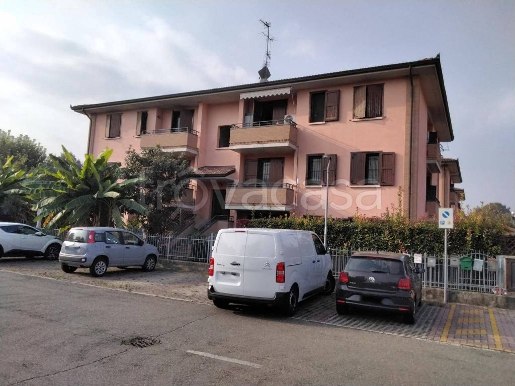 immagine annuncio 3 di 11