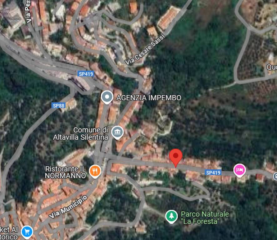 immagine annuncio 2 di 13