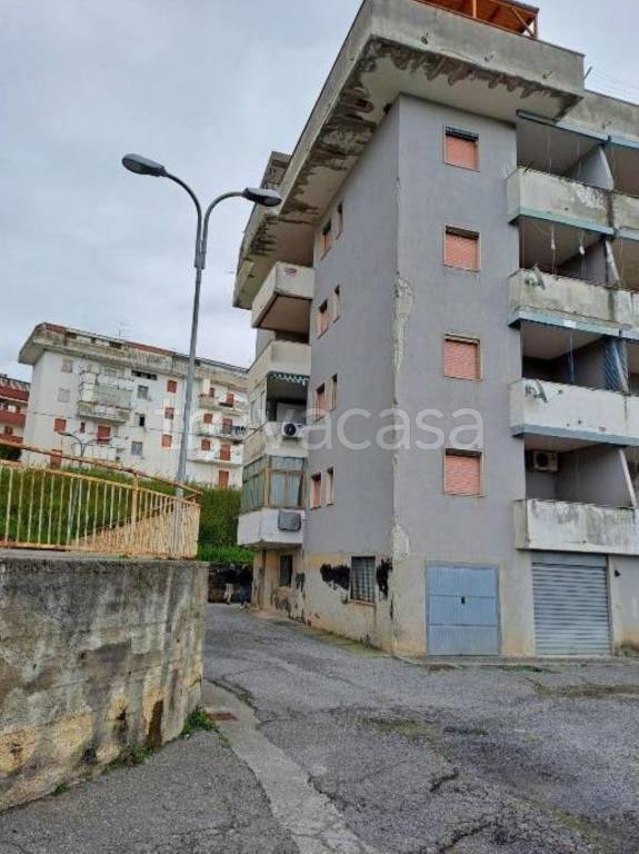 immagine annuncio 6 di 8