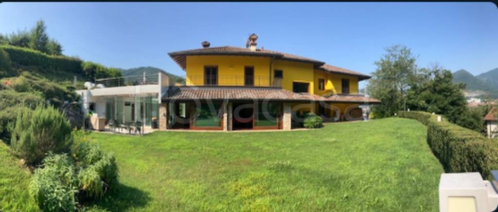 immagine annuncio 12 di 13