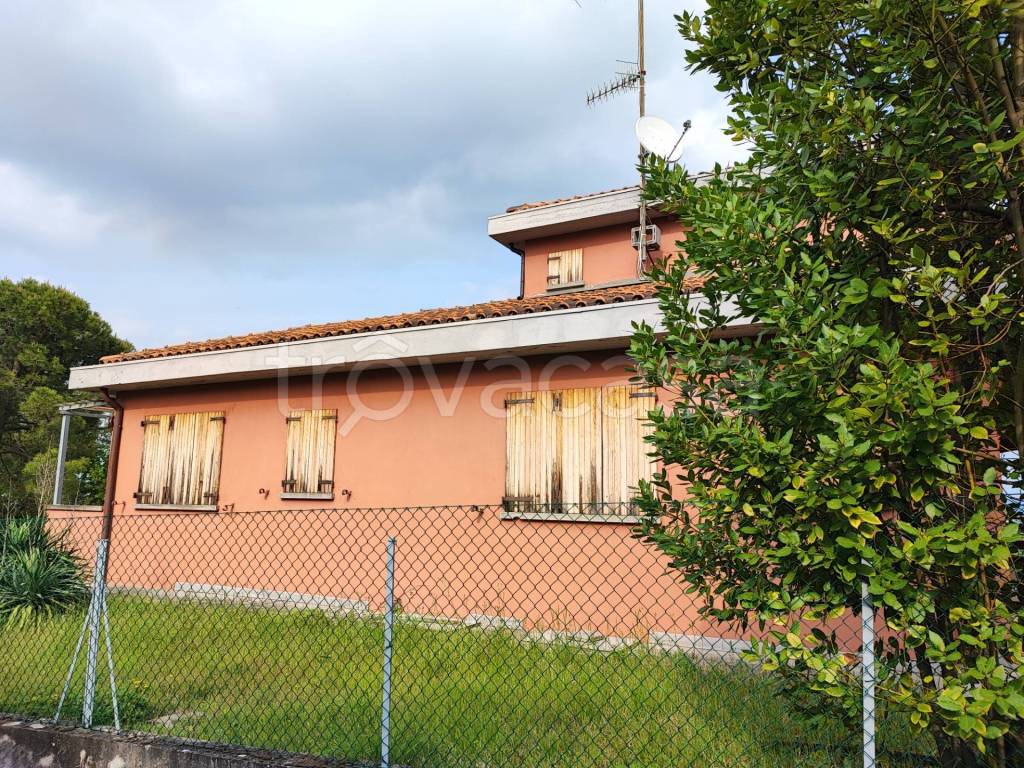 immagine annuncio 3 di 11