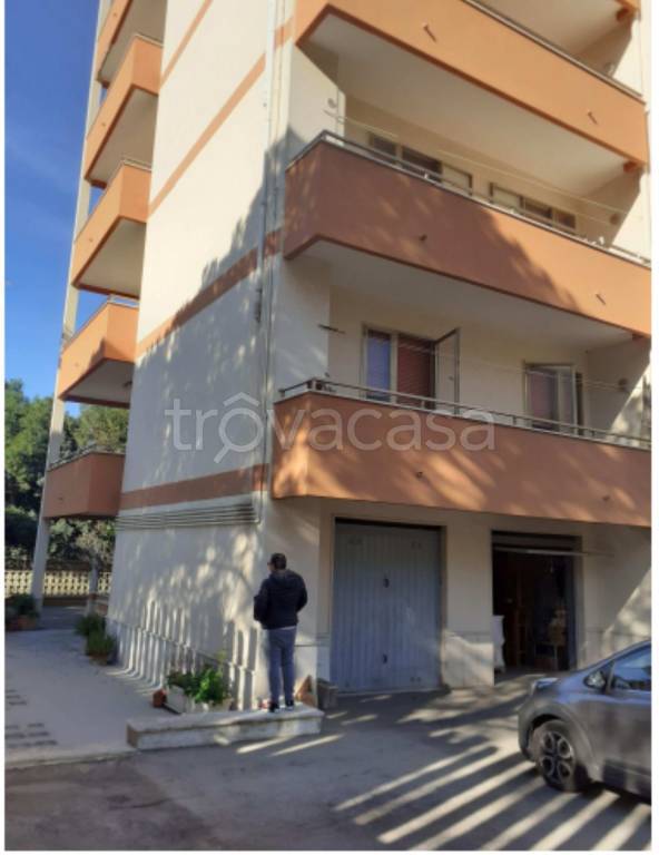 immagine annuncio 3 di 14