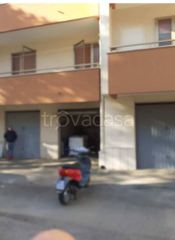 immagine annuncio 4 di 14