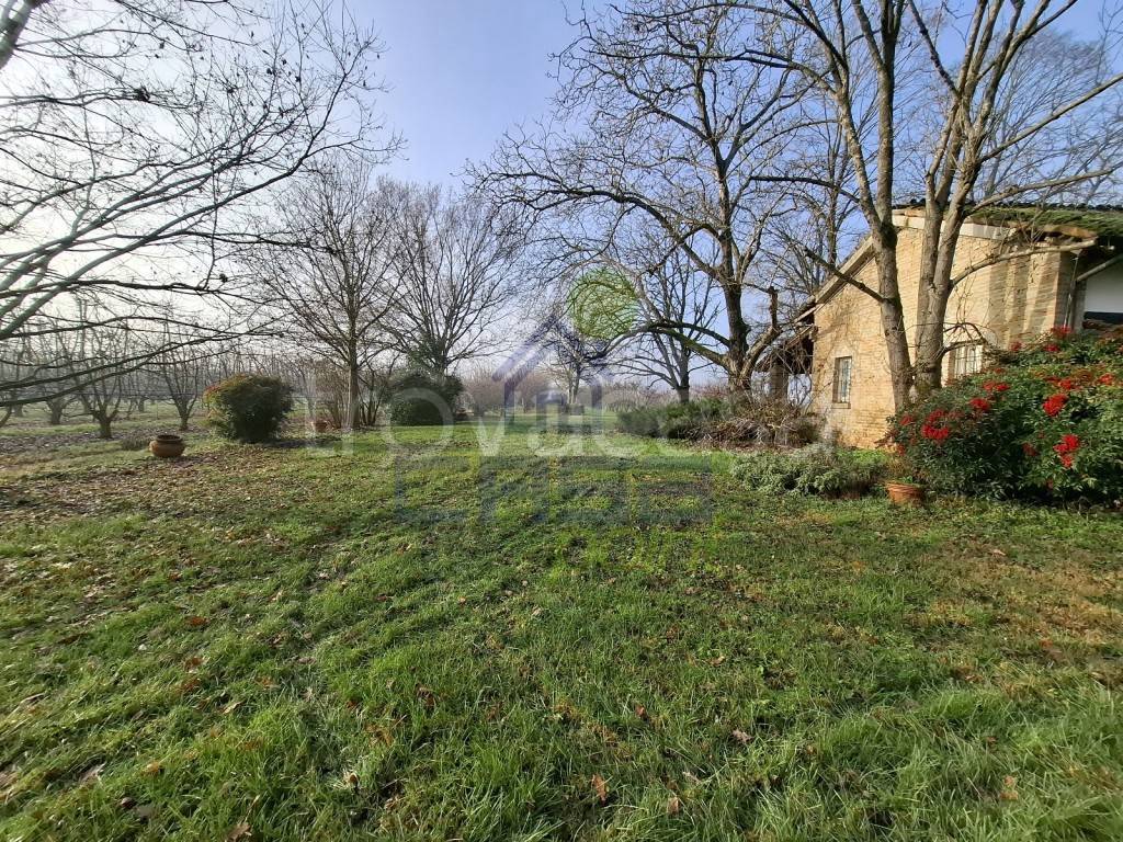 immagine annuncio 5 di 8