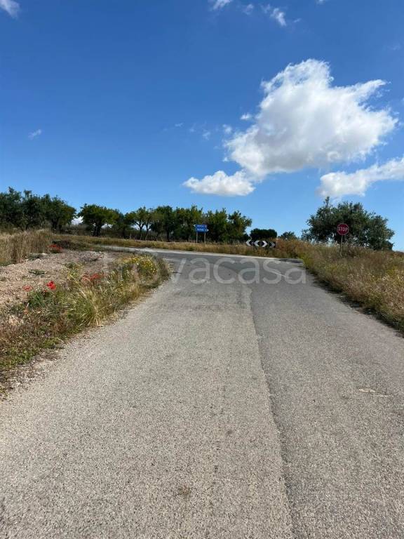 immagine annuncio 3 di 4
