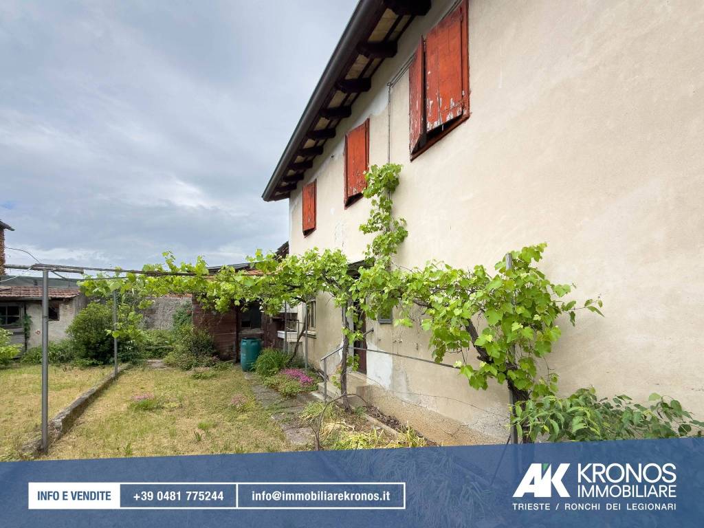 immagine annuncio 1 di 14