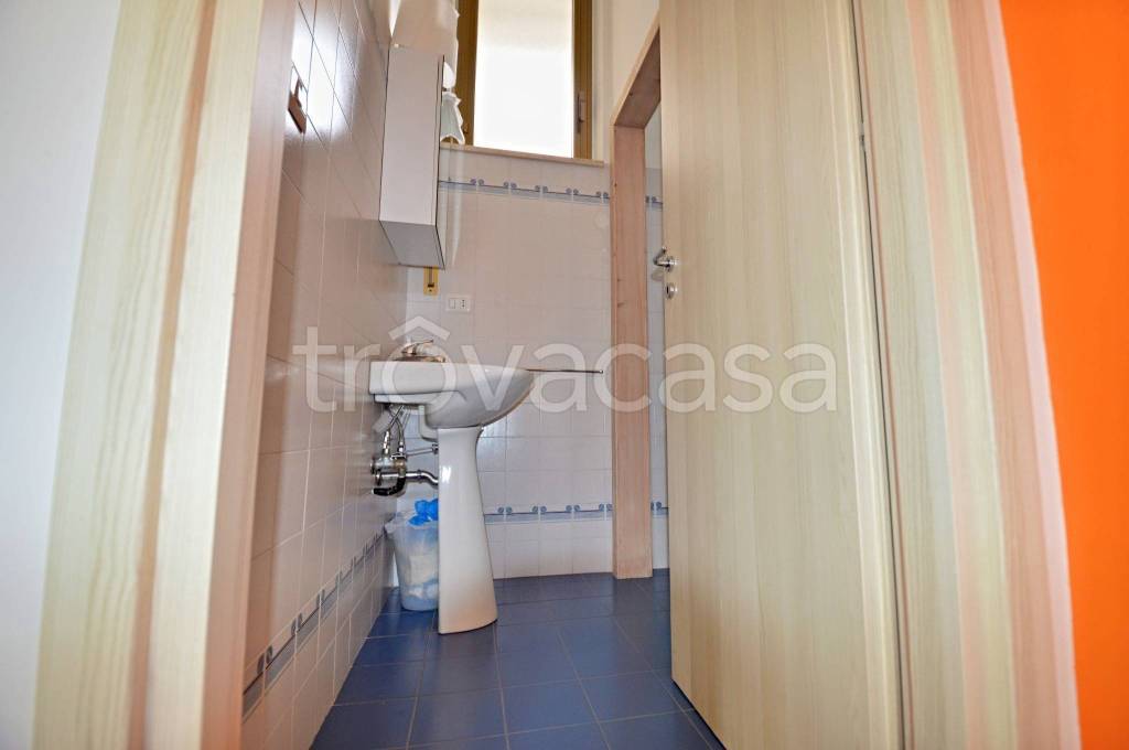 immagine annuncio 12 di 14
