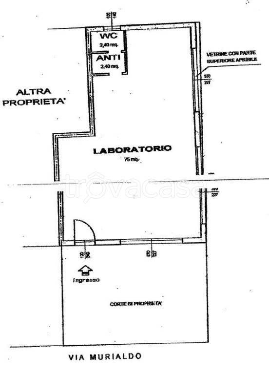 immagine annuncio 5 di 6