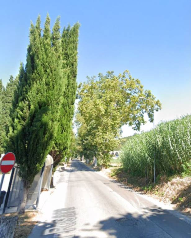 immagine annuncio 8 di 11