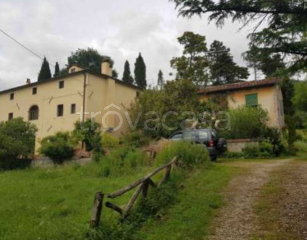 immagine annuncio 4 di 8