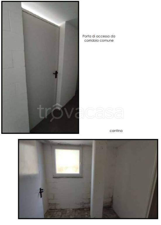 immagine annuncio 5 di 8