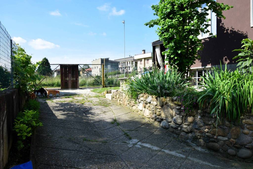 immagine annuncio 3 di 15